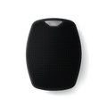 The Body Buffer
